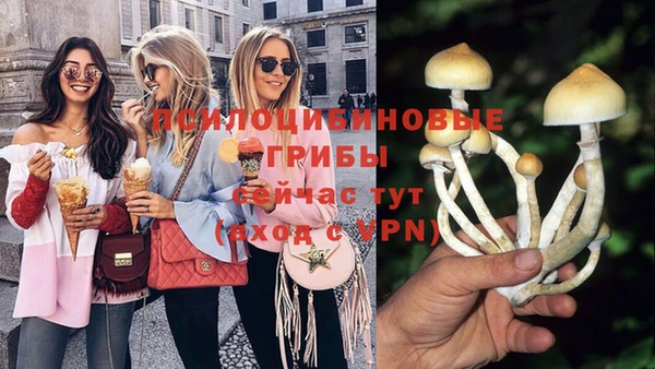 амф Алексеевка